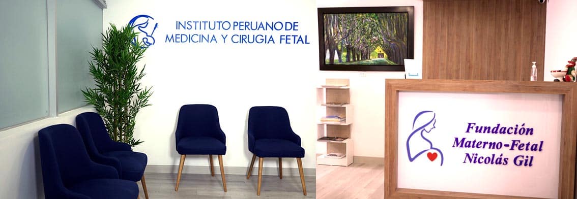 Instituto Peruano de Medicina y Cirugía Fetal 3 instituto-peruano-de-medicina-y-cirugia-fetal-lima-peru-3